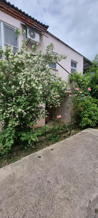 Guest House Mushmula New Athos Exterior foto